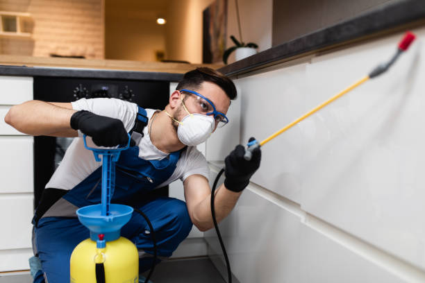 Best Wasp Removal Services  in Seal Beach, CA