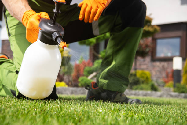 Best Commercial Pest Control Services  in Seal Beach, CA