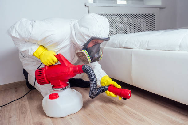 Professional Pest Control in Seal Beach, CA