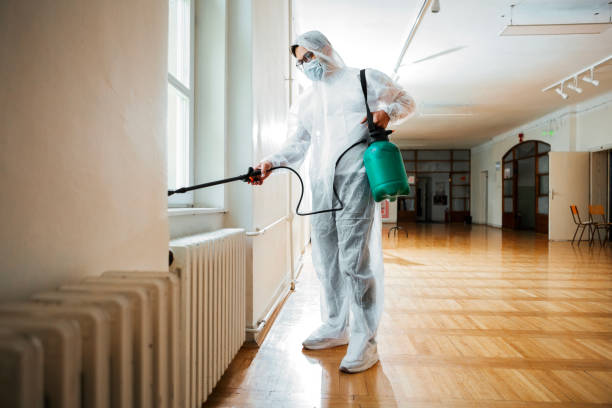 Best Commercial Pest Control Services  in Seal Beach, CA